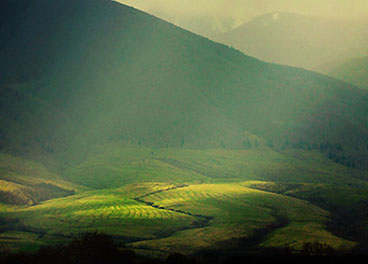 短信在线呼死你2023